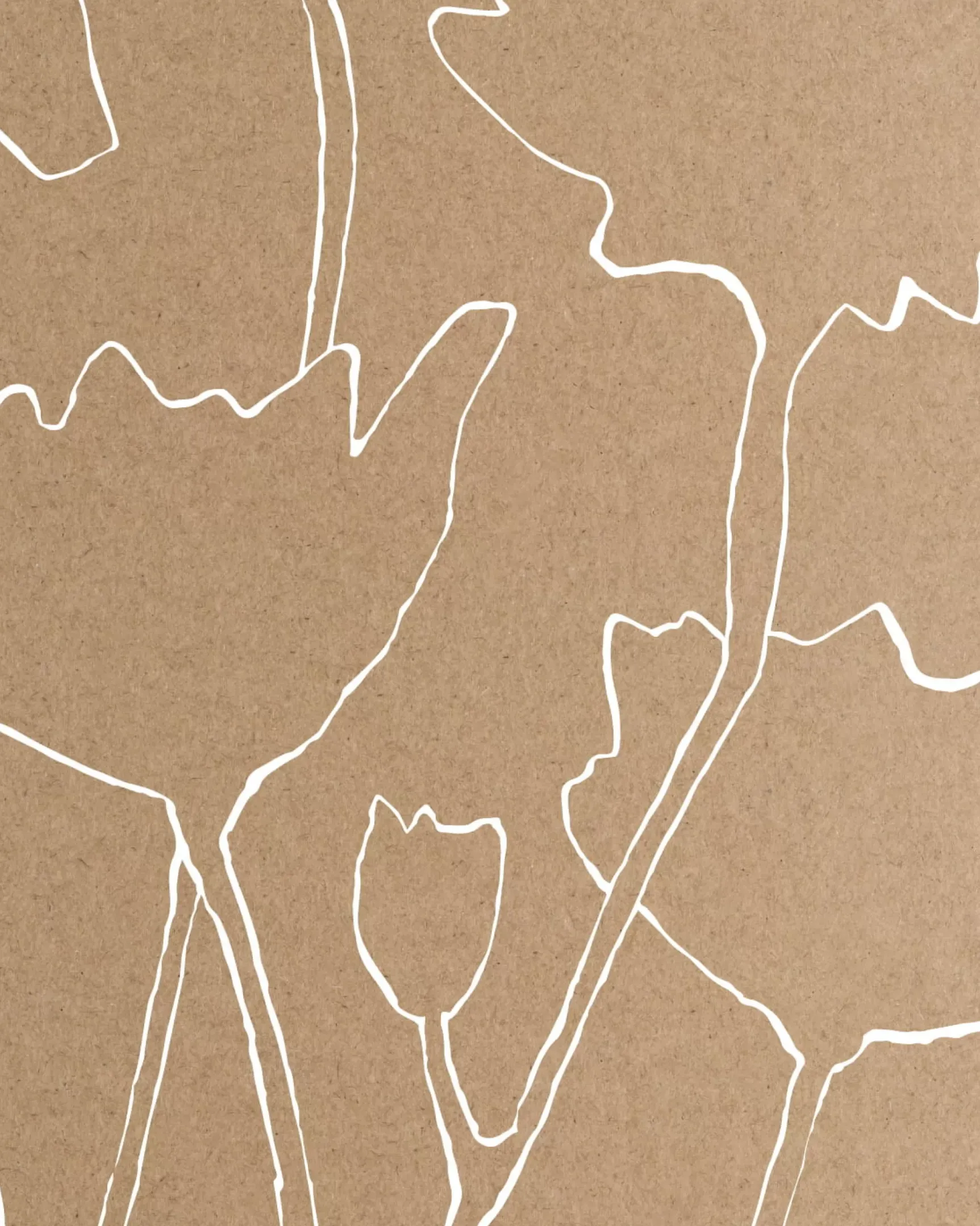 Best Carte cadeau Cartes cadeaux