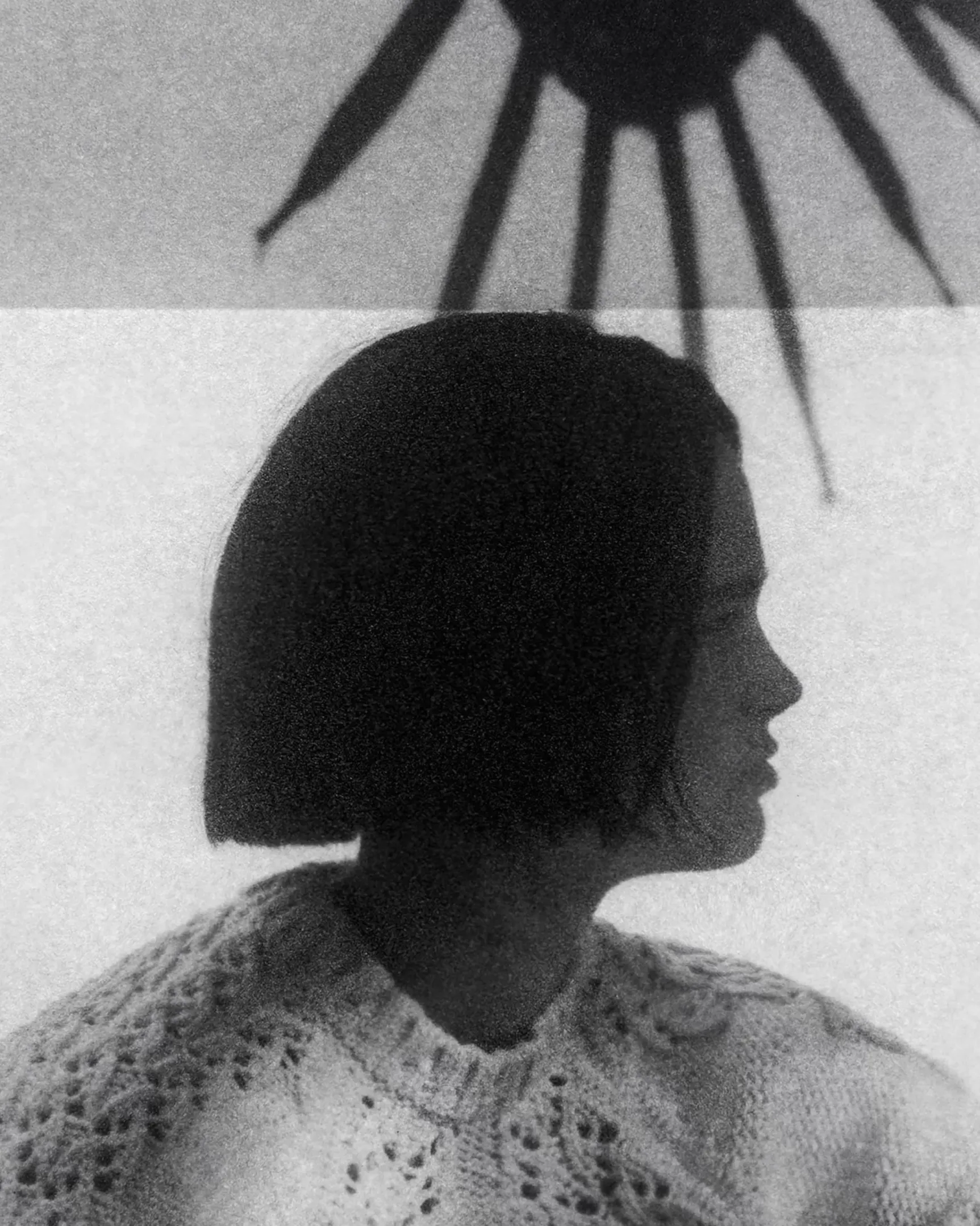 New Zumi Spring 2024